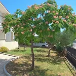 Tarja * Kaštel Novi